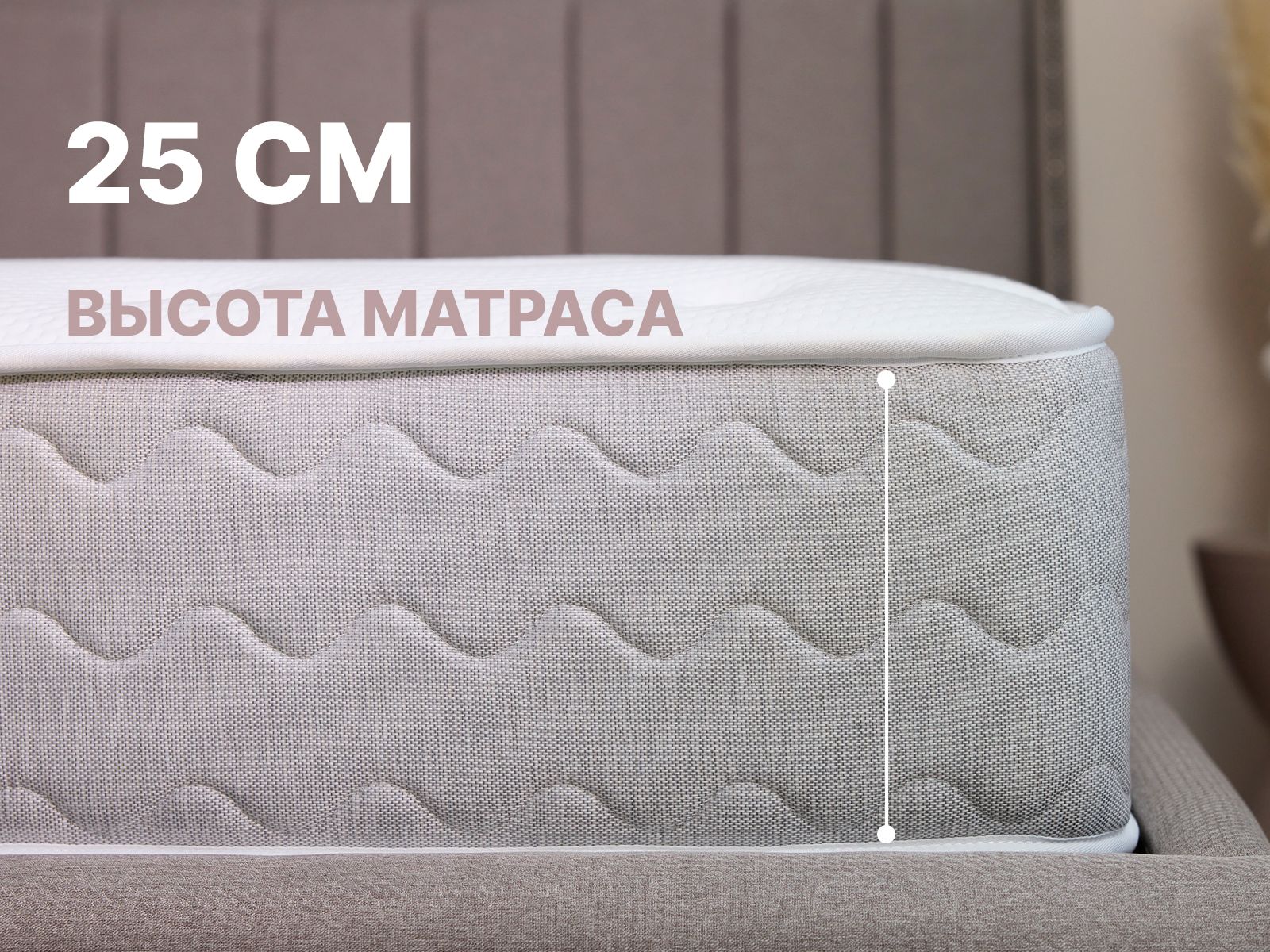 картинка Матрас Димакс Bliss Modern max от магазина Одежда+